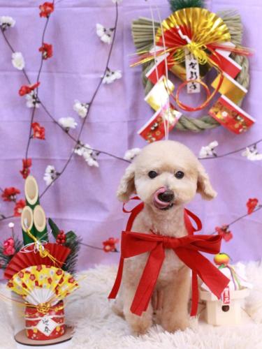 20230112あくびちゃん